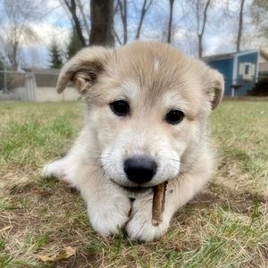 Meet your Posher, Felipe